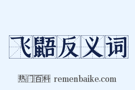 飞鼯反义词是什么意思的图片